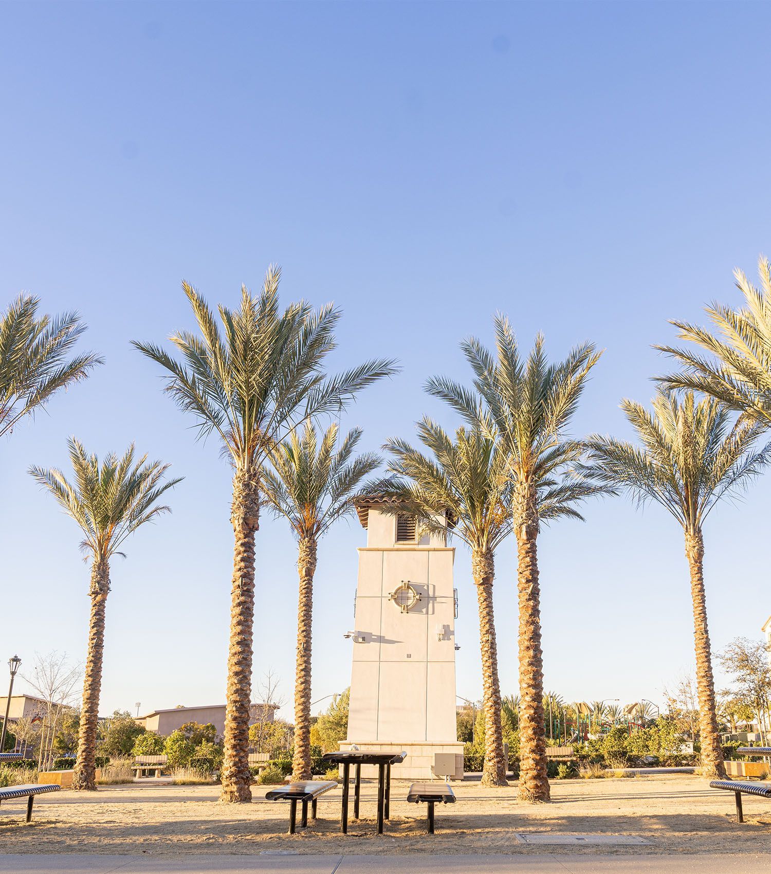 A clock tower with palm trees in front of it