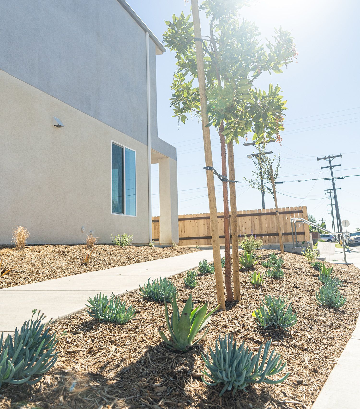A house with a lot of plants and trees in front of it