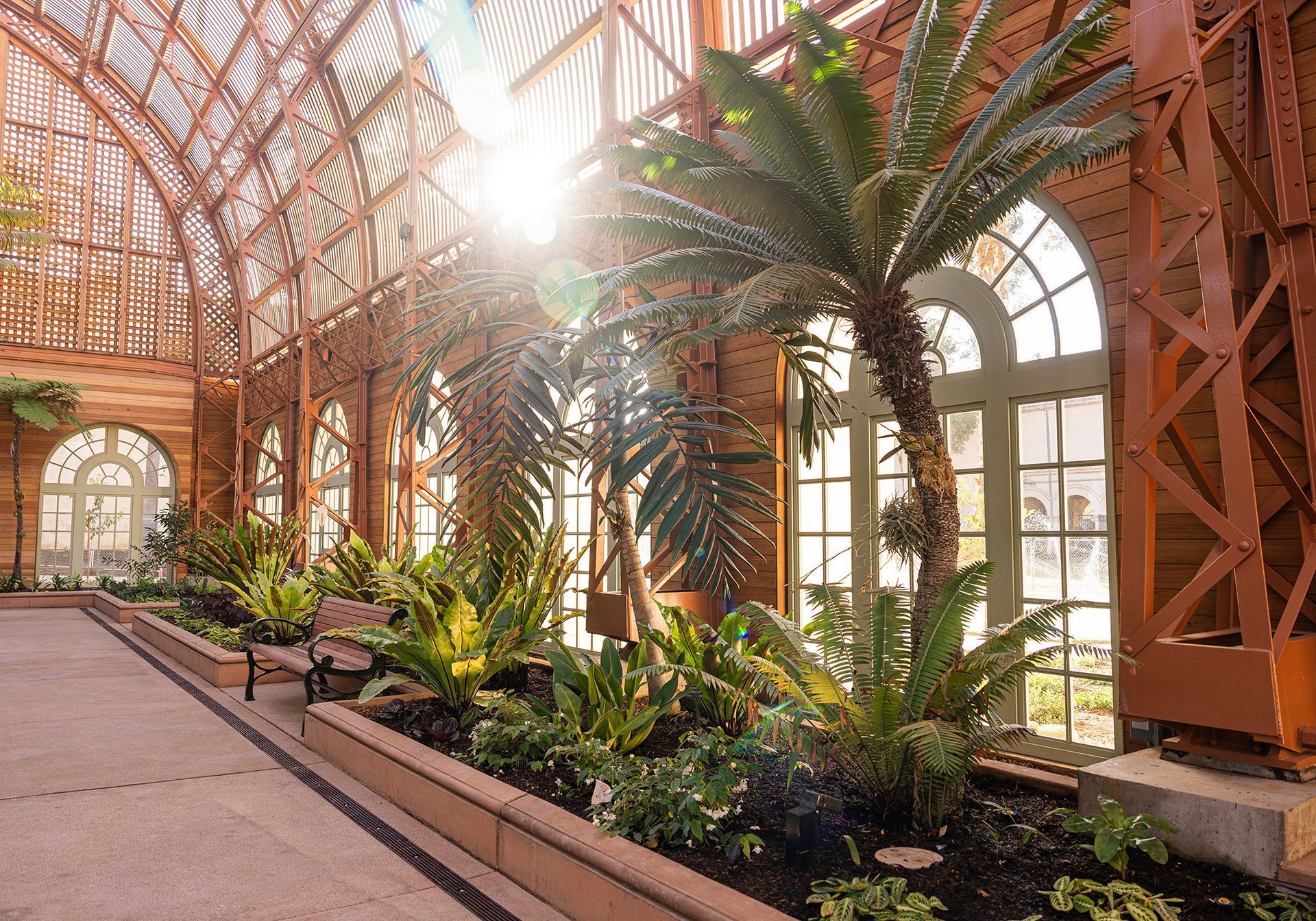 The sun is shining through the windows of a greenhouse filled with lots of plants. San Diego Balboa Park botanical building.