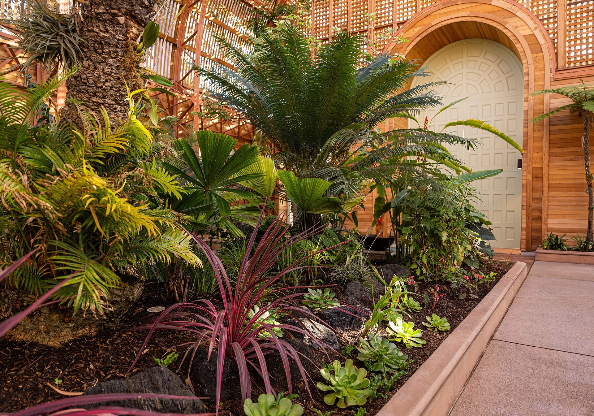 A garden with lots of plants and trees in front of a building