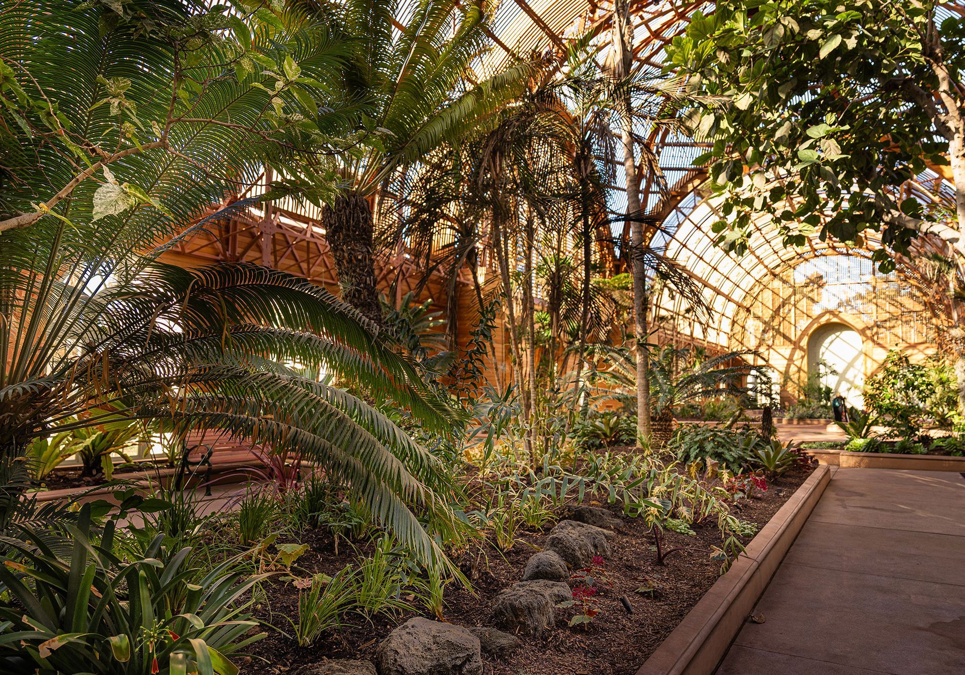 A greenhouse filled with lots of plants and trees. San Diego Balboa Park botanical building.