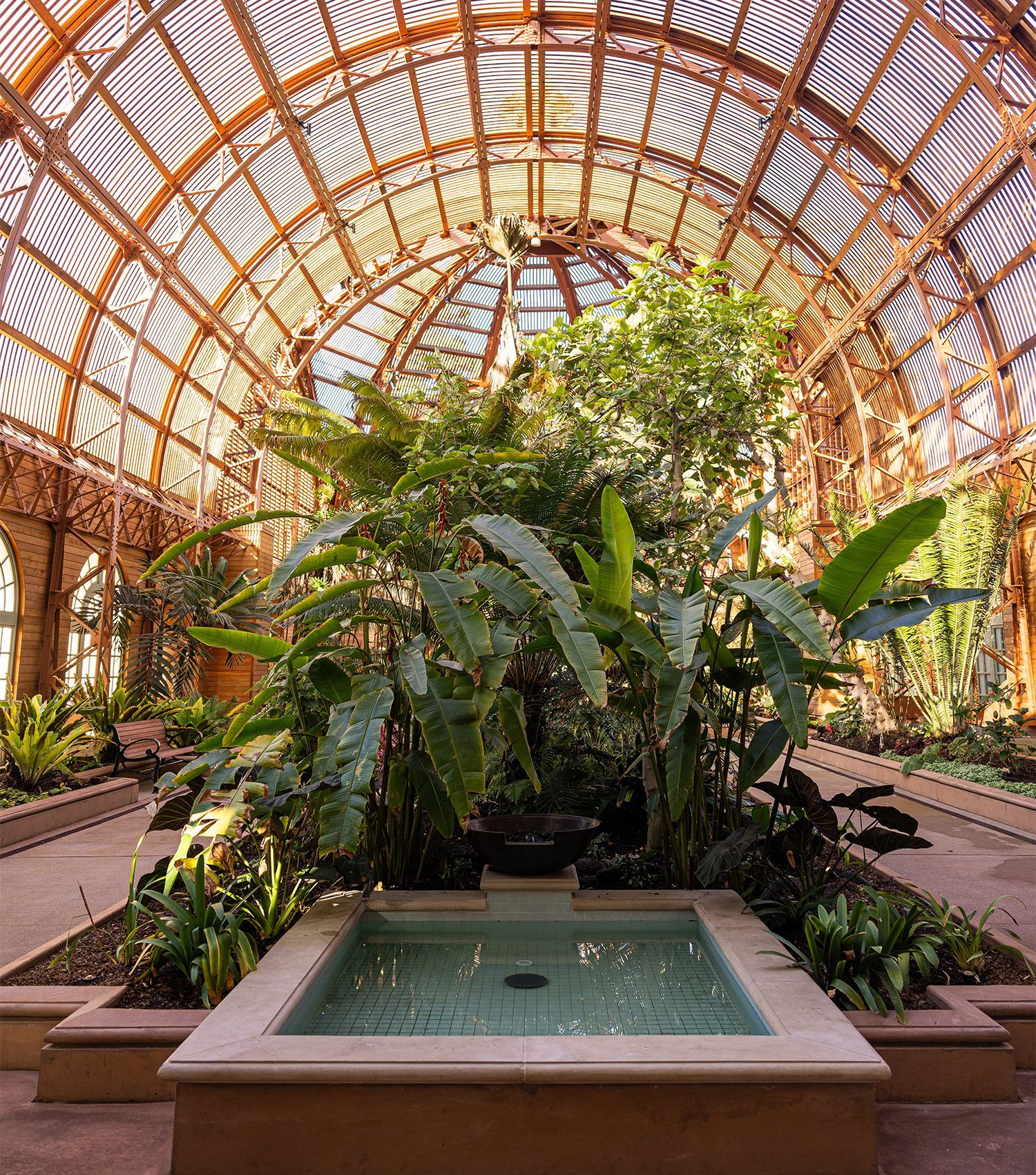 A large greenhouse filled with lots of plants and a fountain.