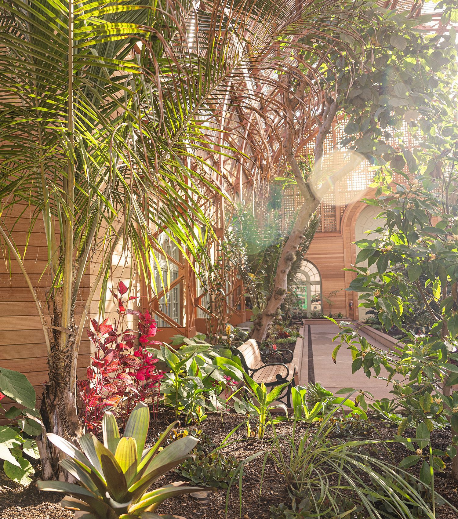 A greenhouse filled with lots of plants and trees.