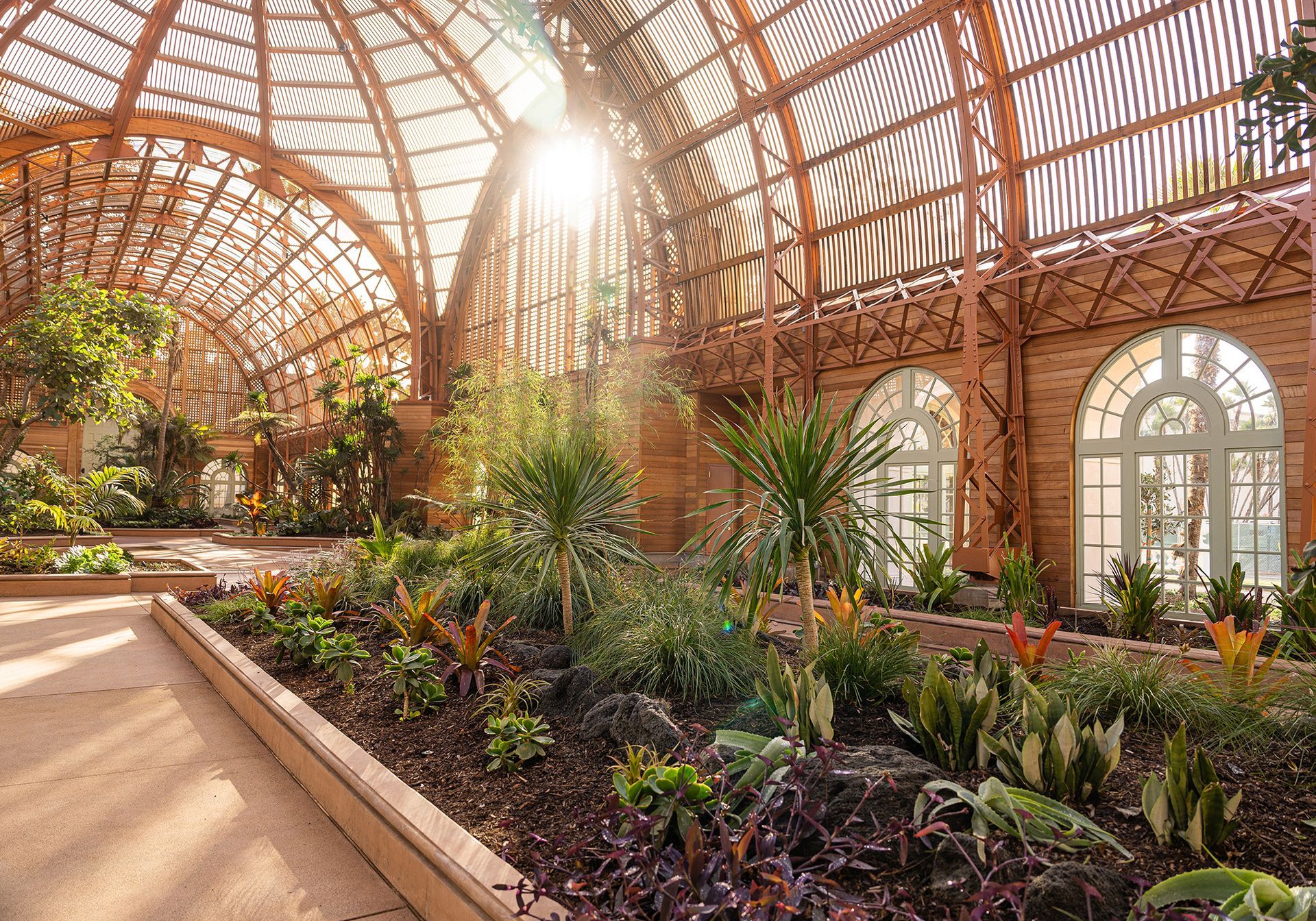 The sun is shining through the windows of a greenhouse filled with lots of plants. San Diego Balboa Park botanical building.