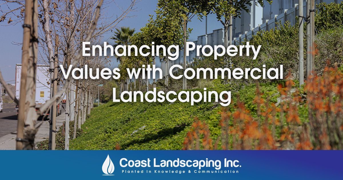 a video about enhancing property values with commercial landscaping .