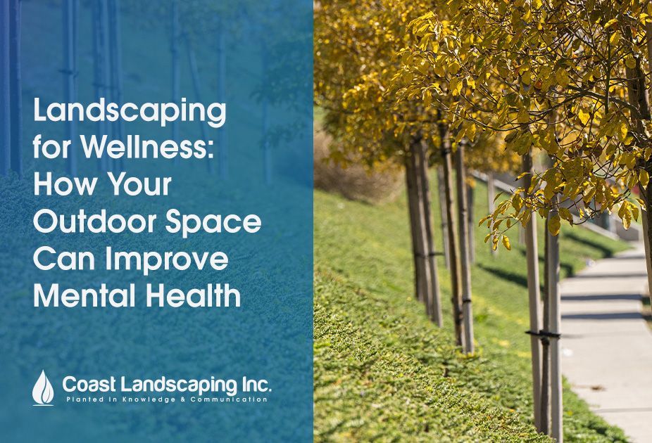 landscaping for wellness : how your outdoor space can improve mental health