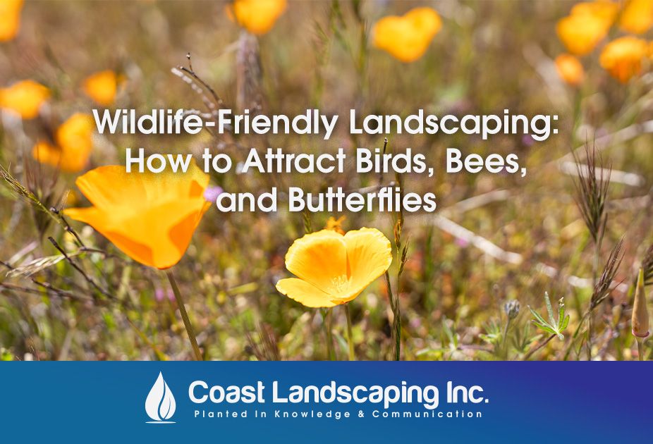 wildlife friendly landscaping : how to attract birds , bees , and butterflies
