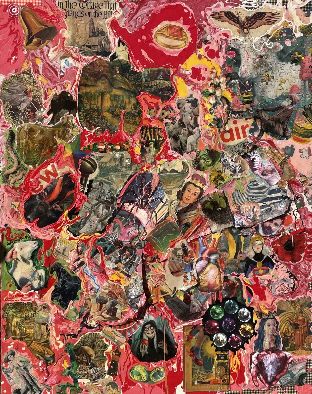 Depth Perception of Sheep