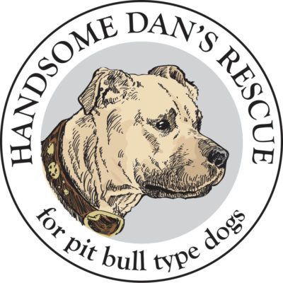 A logo for handsome dan 's rescue for pit bull type dogs