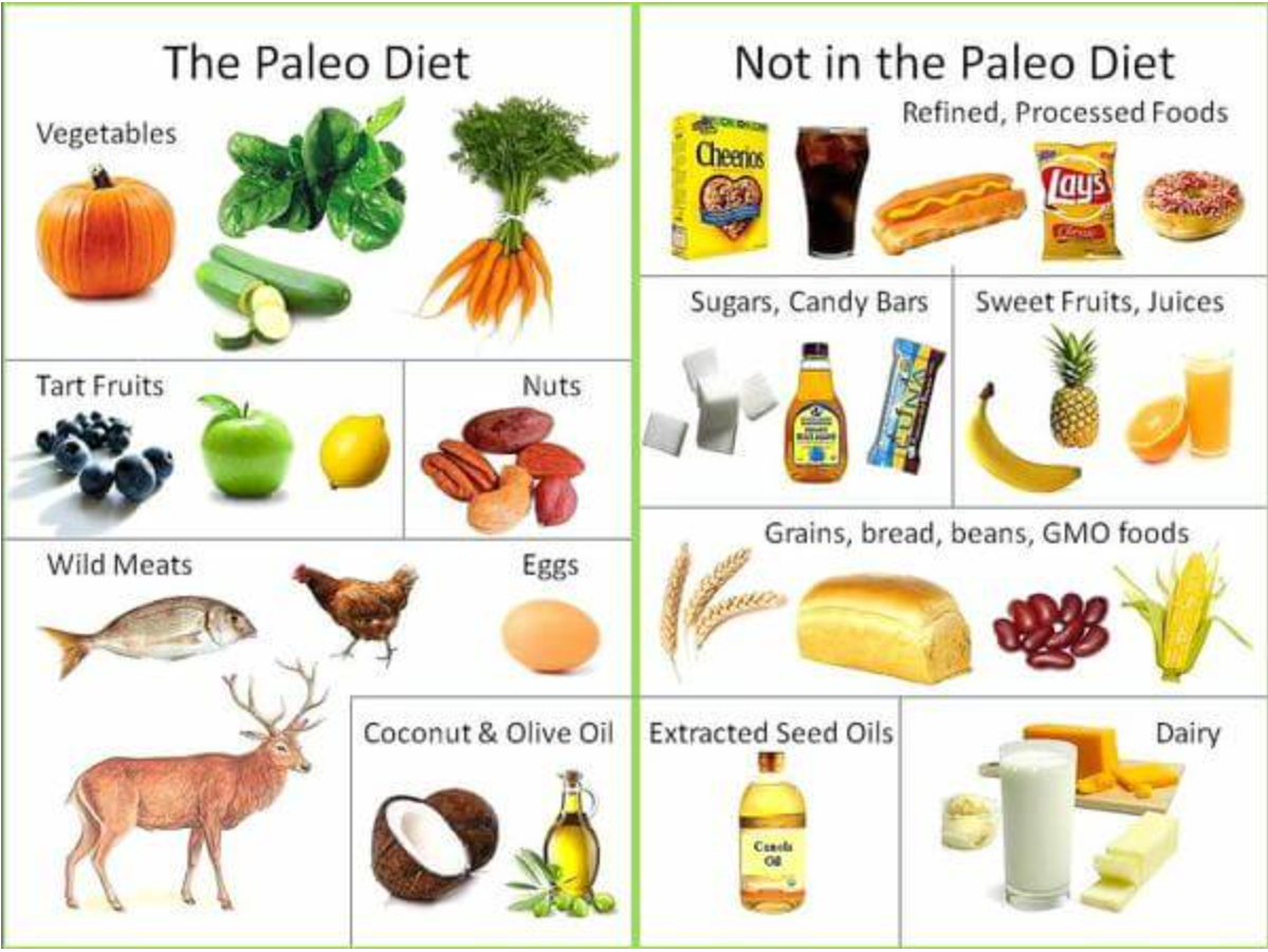 A poster showing the paleo diet and not in the paleo diet