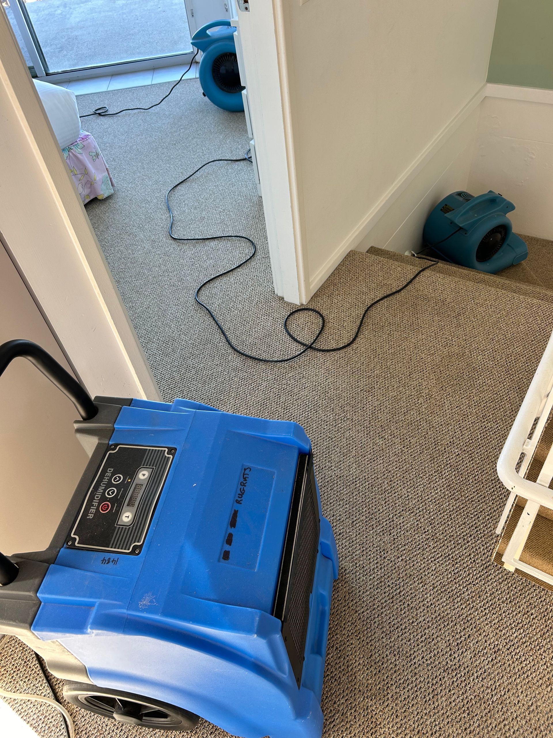 A Vacuum Cleaner is Cleaning a Carpeted Floor in a Library — Rugrats Carpet Cleaning Service In Tuncurry, NSW