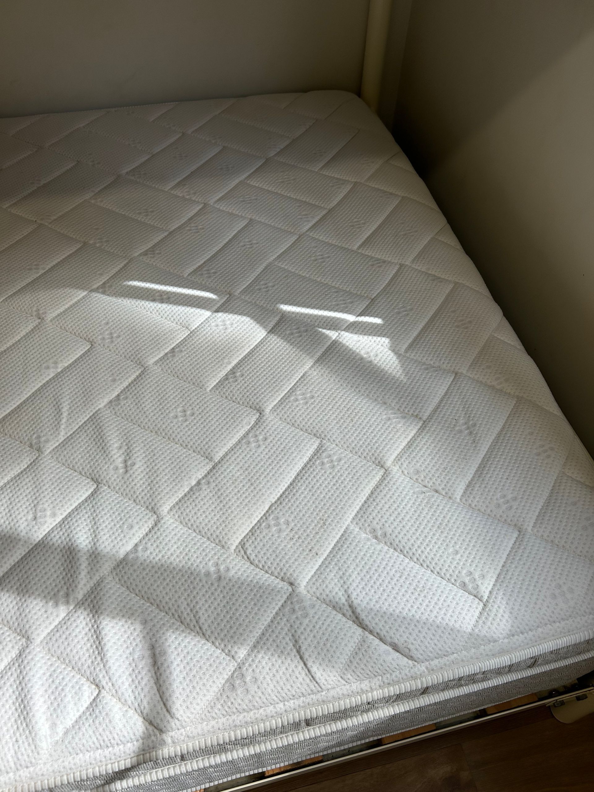 A Living Room With a Couch and a Carpet With a Stain on It — Rugrats Carpet Cleaning Service In Charlotte Bay, NSW