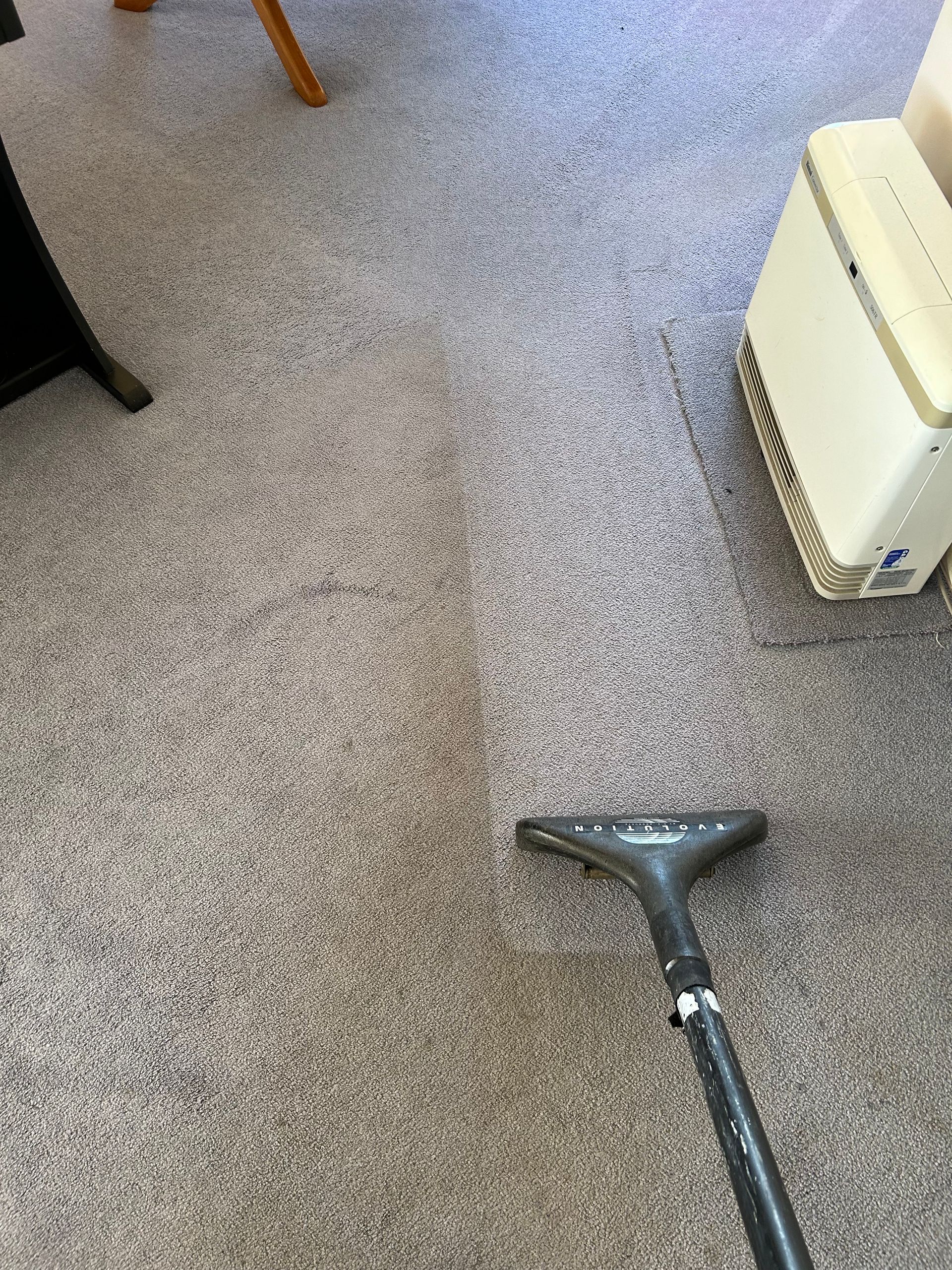 A Vacuum Cleaner is Cleaning a Carpet in a Living Room — Rugrats Carpet Cleaning Service In Charlotte Bay, NSW