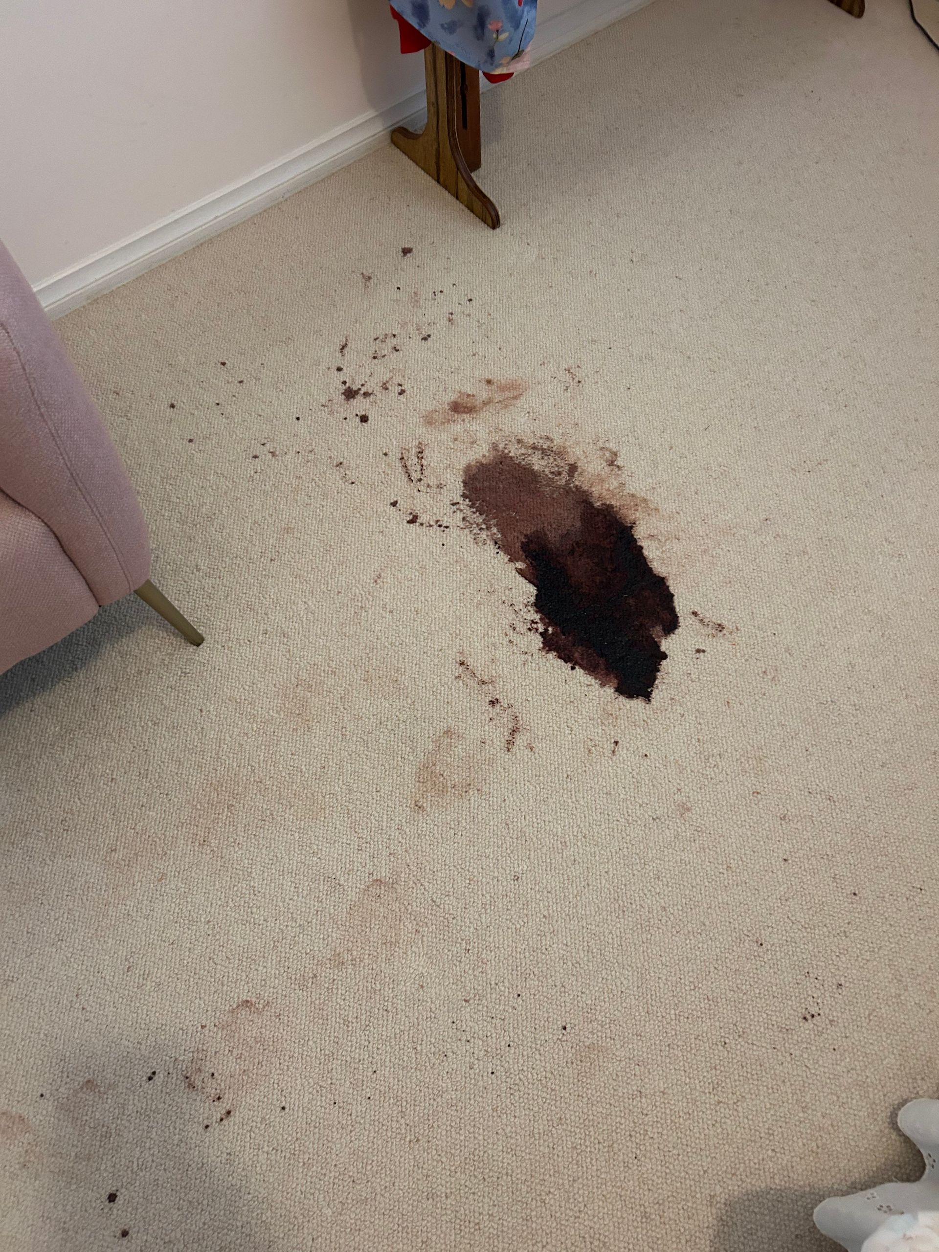 A Man is Vacuuming a White Carpet in a Living Room — Rugrats Carpet Cleaning Service In Charlotte Bay, NSW