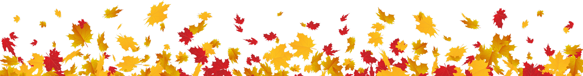 Falling autumn leaves, red and gold, against a white background.