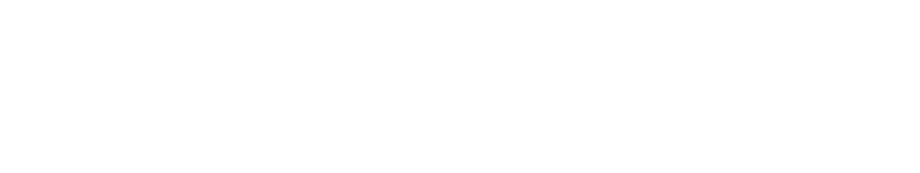 odin-x/agency logo in white