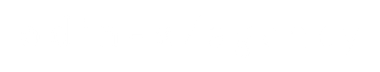 odin-x/agency logo in white