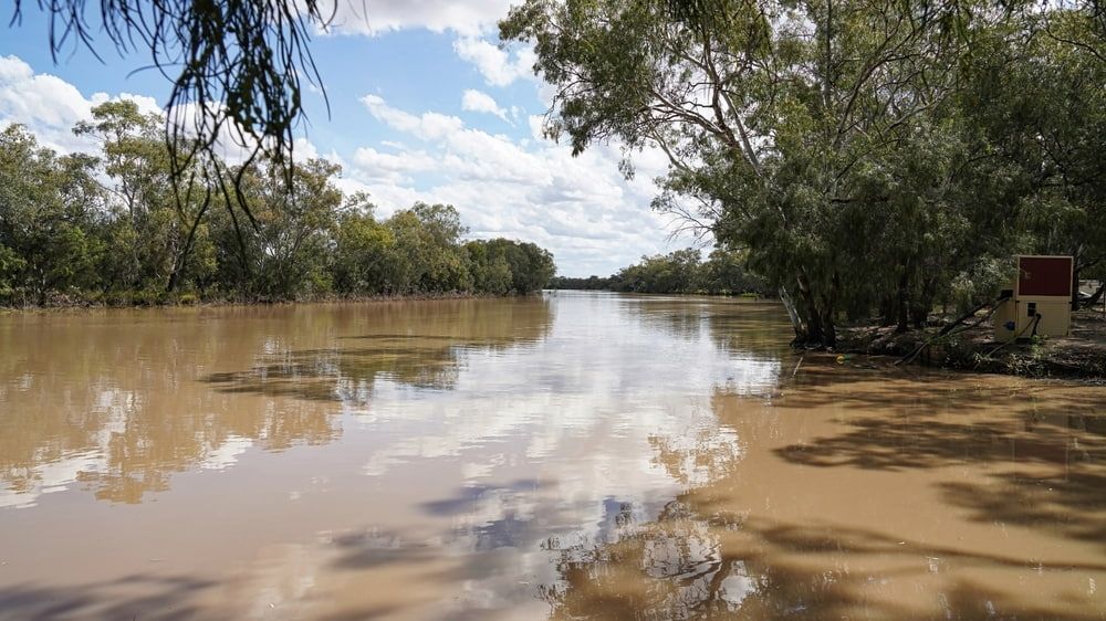 A Large Body Of Water Surrounded By Trees On A Sunny Day — Ag Auto Spark in Nyngan, NSW