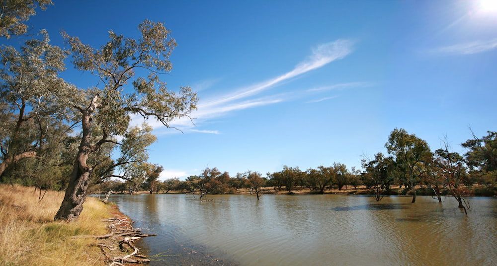A Lake With Trees On The Shore And A Blue Sky — Ag Auto Spark in Bourke, NSW