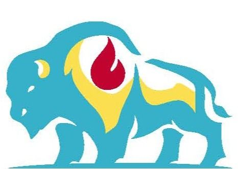 Next Lvl Solutions LLC