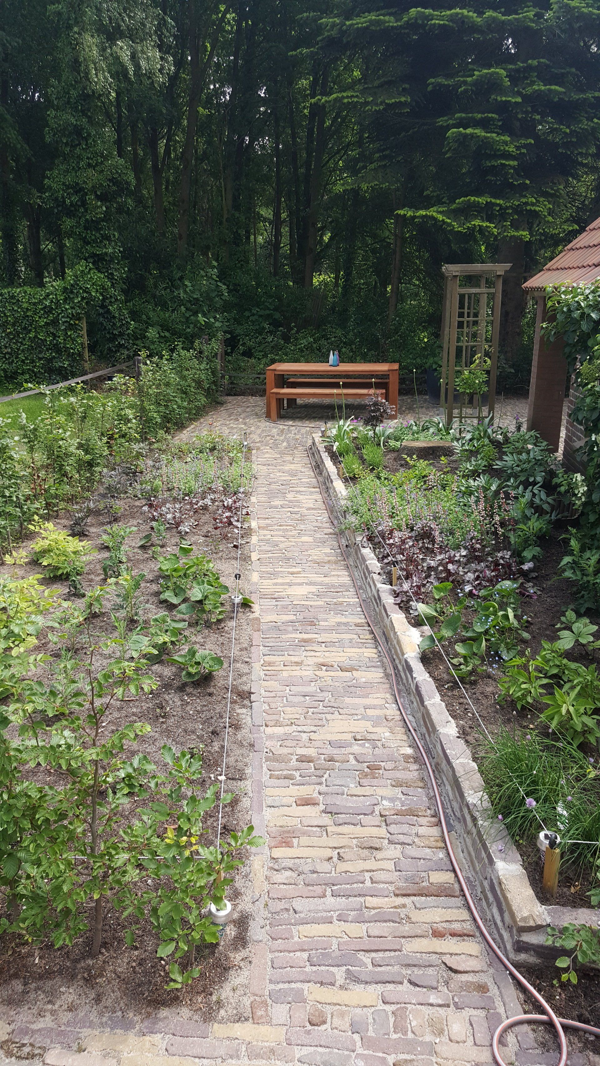 Tuinborders met beplanting