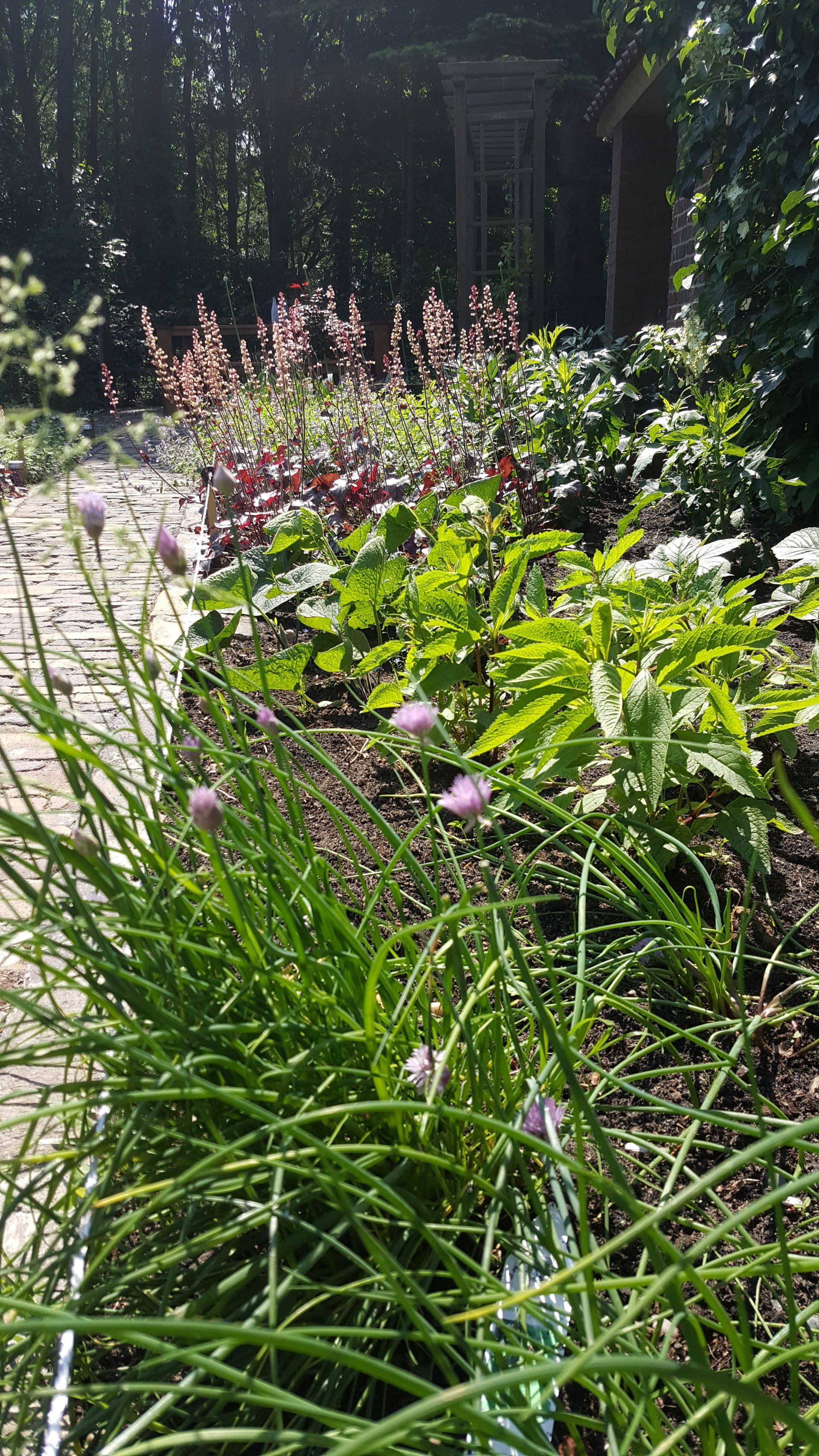 Beplanting van tuinborders