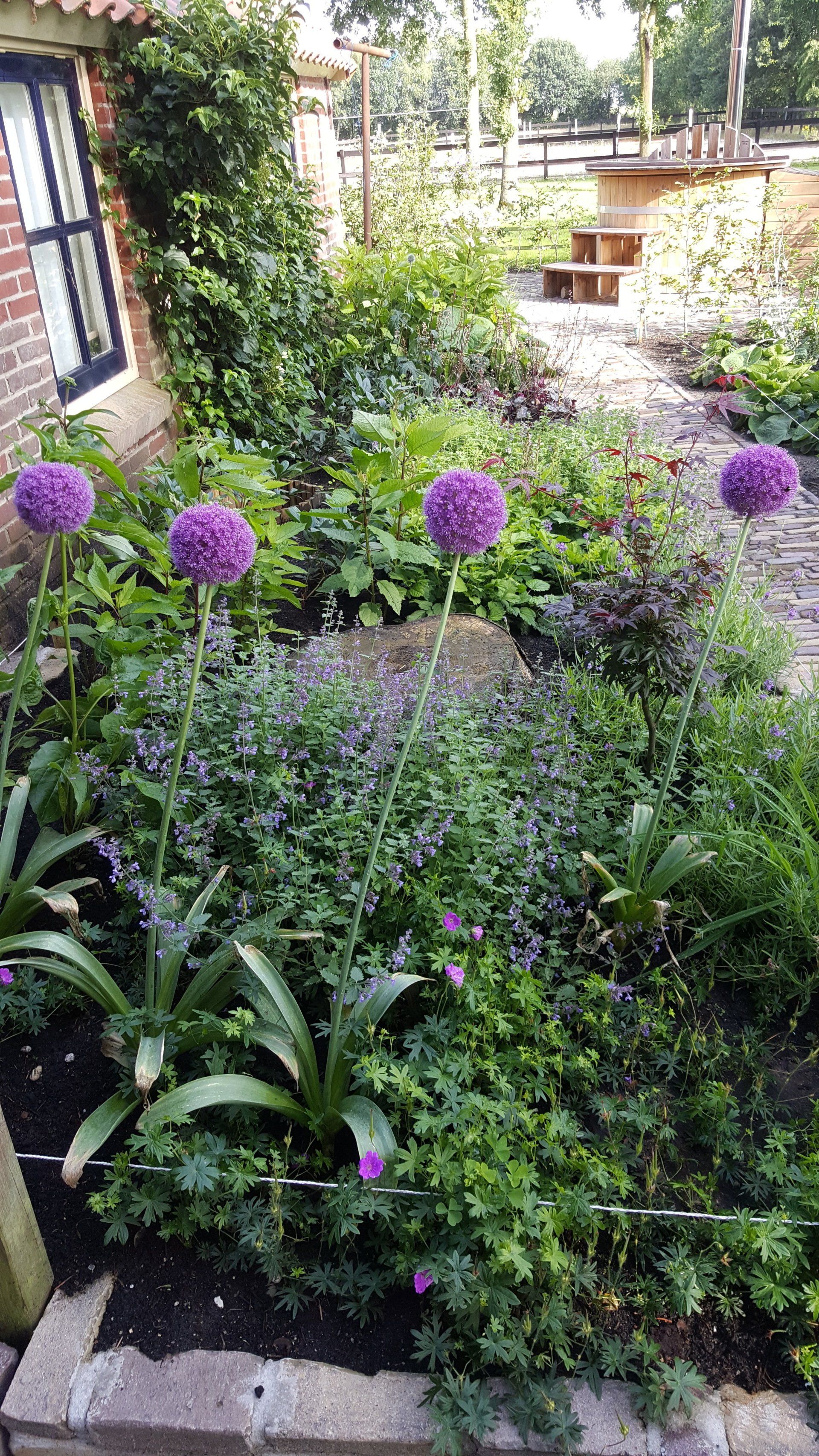 Beplanting van tuinborders