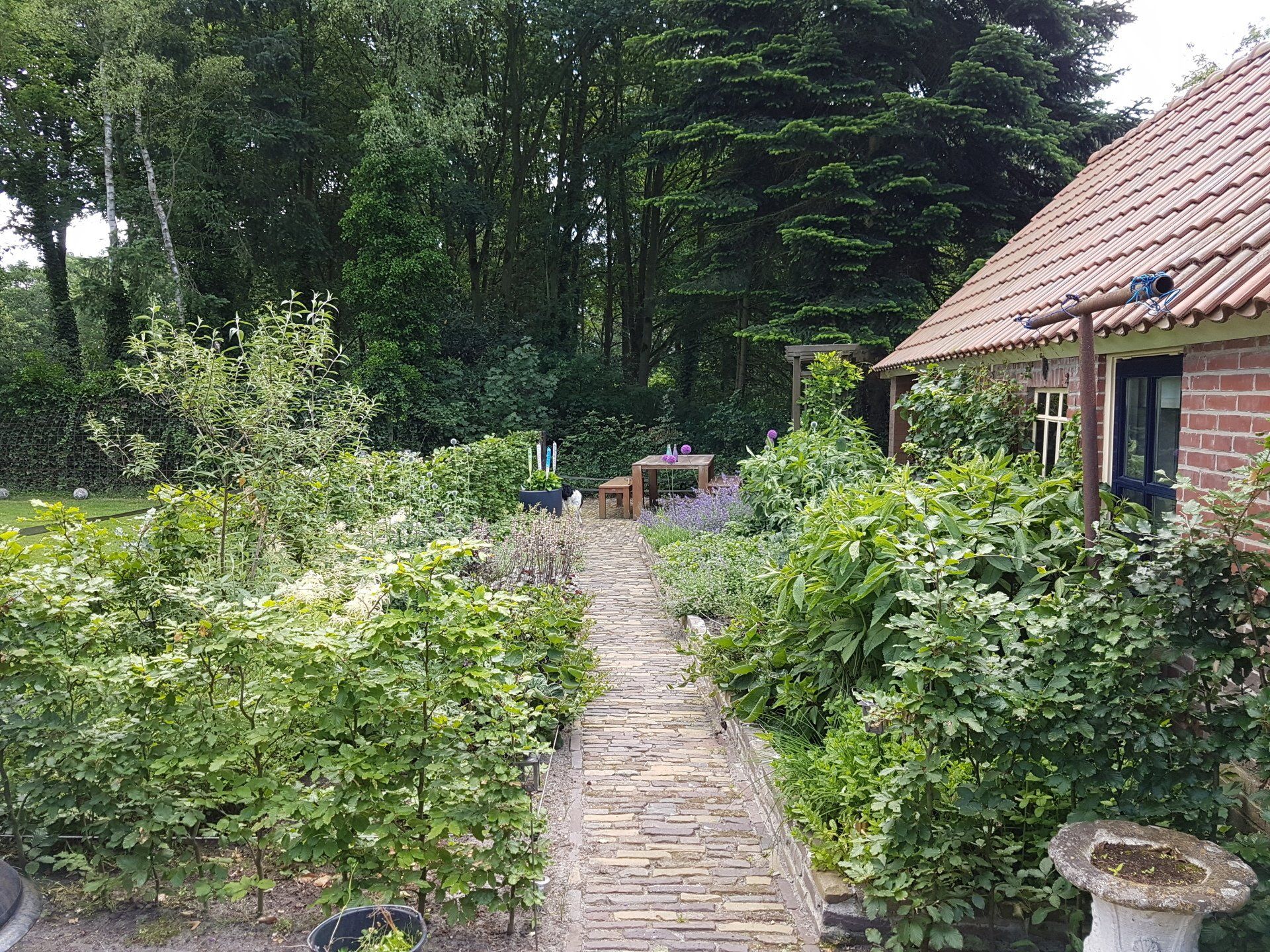 Beplanting van tuinborders