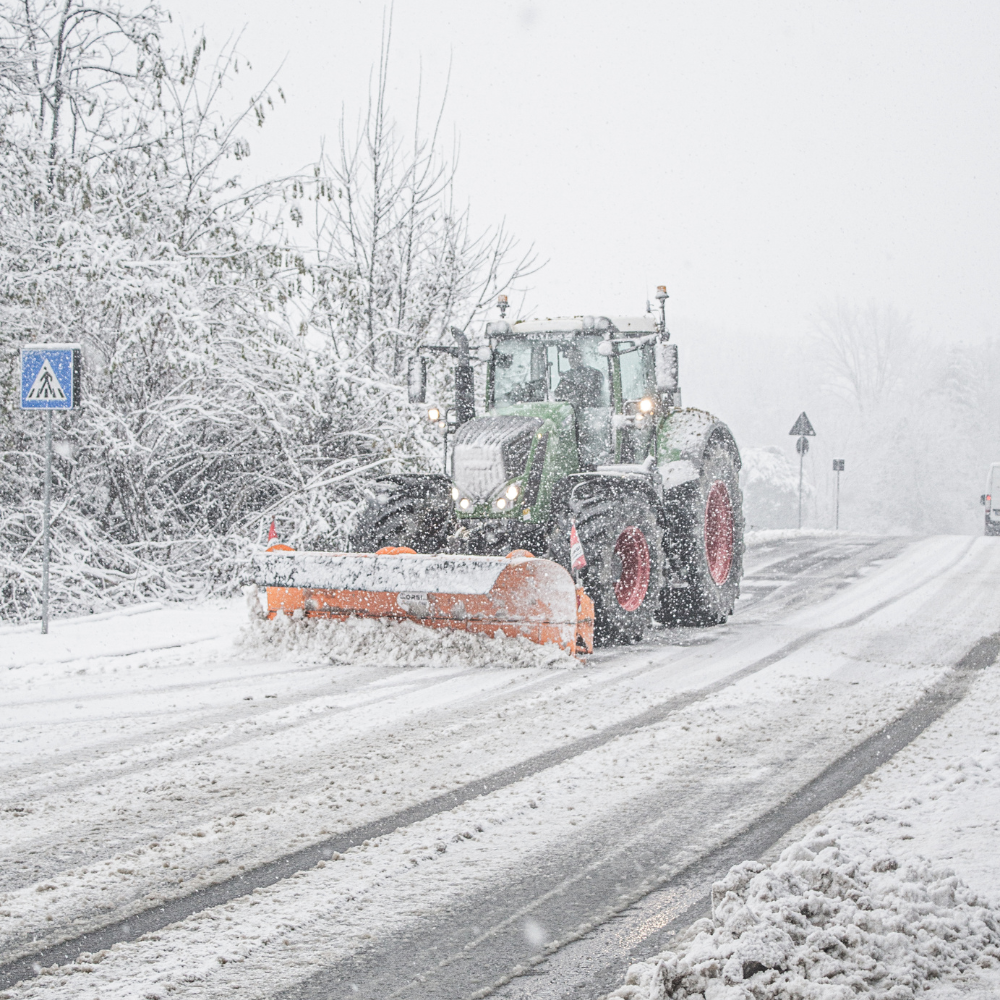 Gladheidsbestrijding