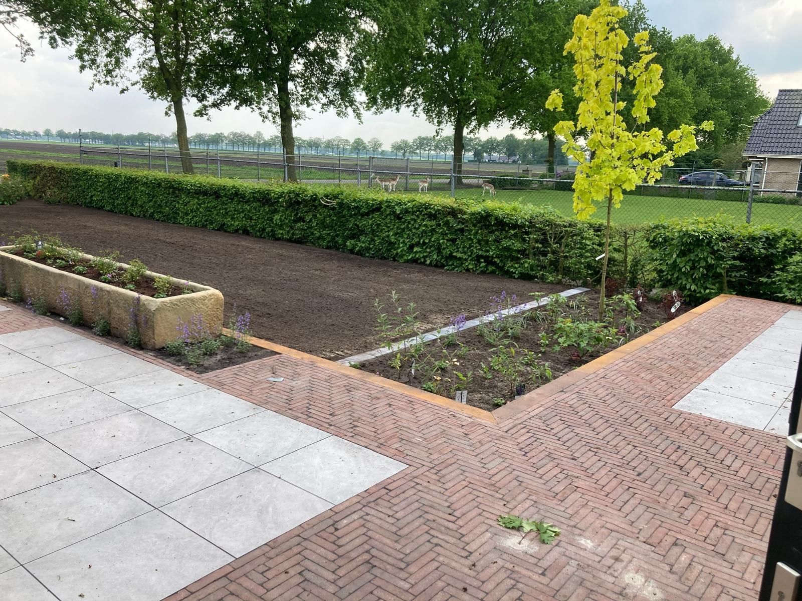 Tuinaanleg in Heemserveen