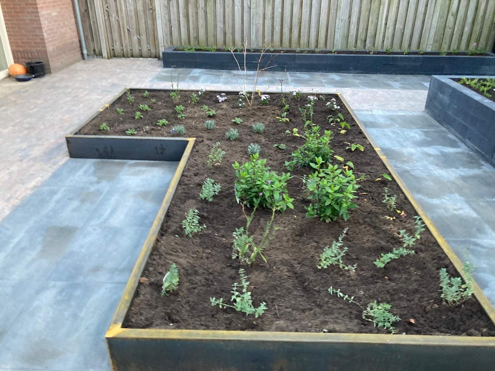 Aanleg tuin Heemserveen met verhoogde bloembakken