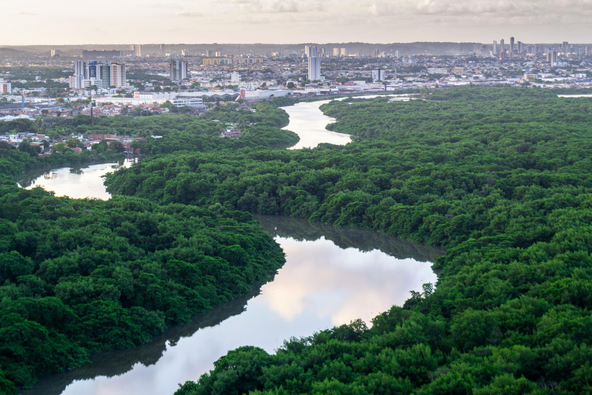 Aerial view of a winding river through dense green forest with a city skyline in the distance