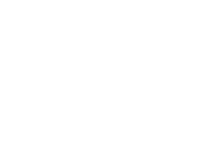 quintis logo