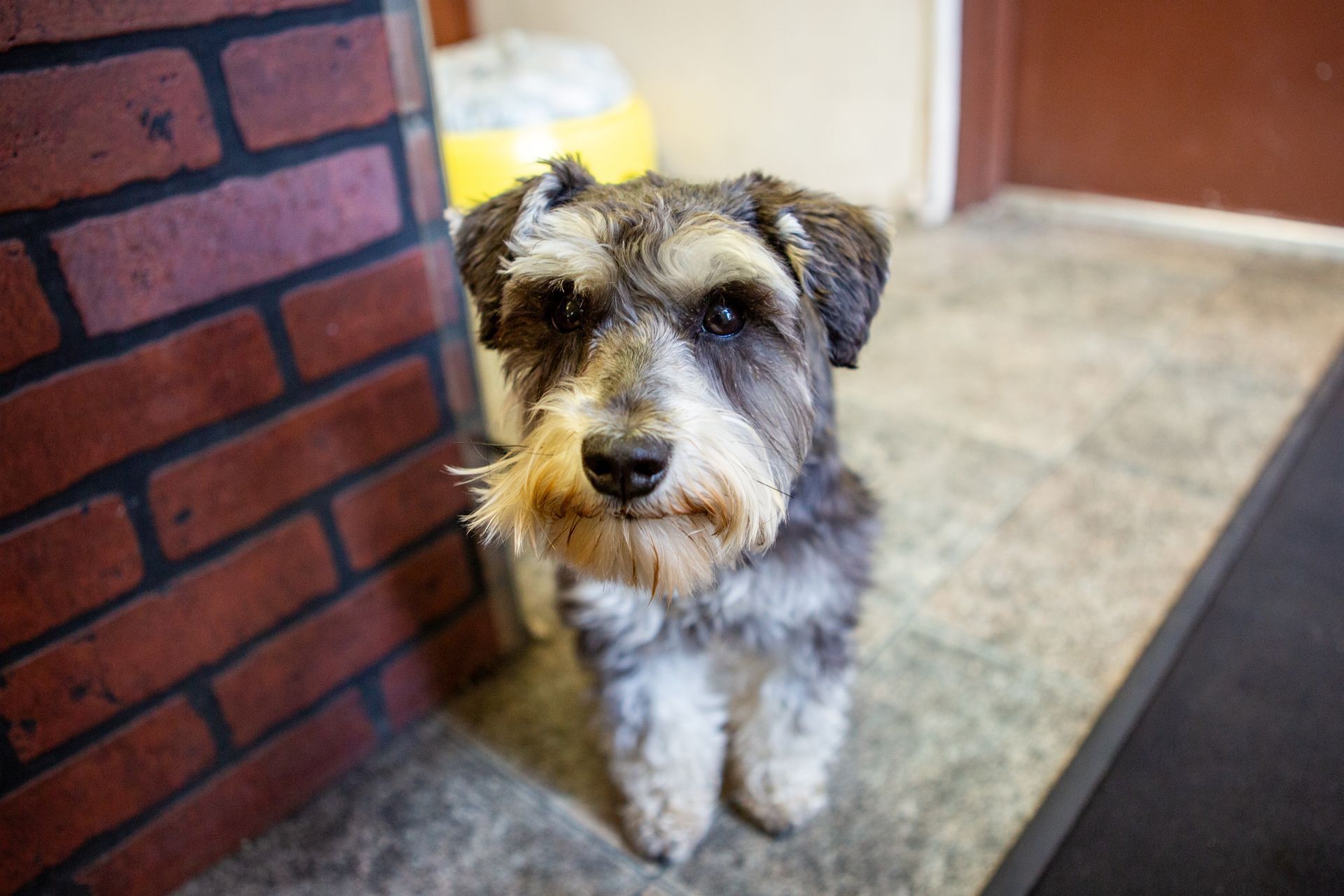 Crescent Service, LLC, in Hammonton, NJ