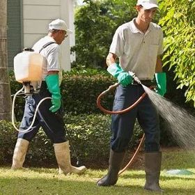 Two men are spraying a lawn with a hose.