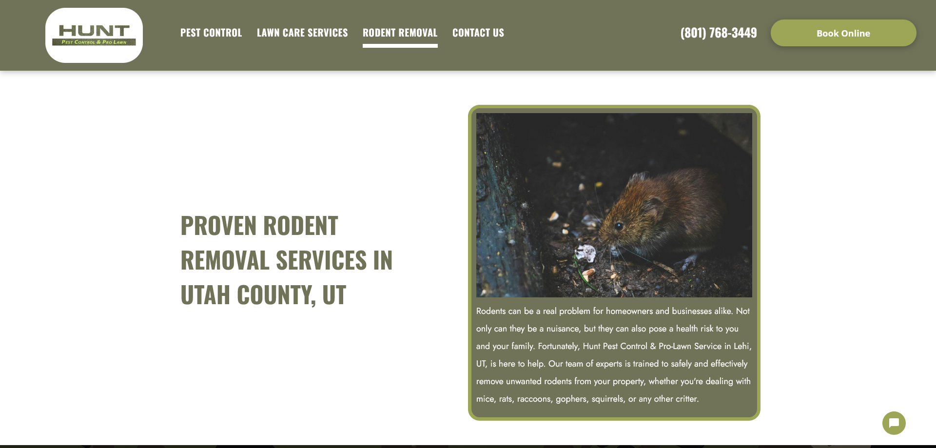 Rodent Removal | Utah County, UT