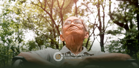 Elderly man looking up at trees in park.