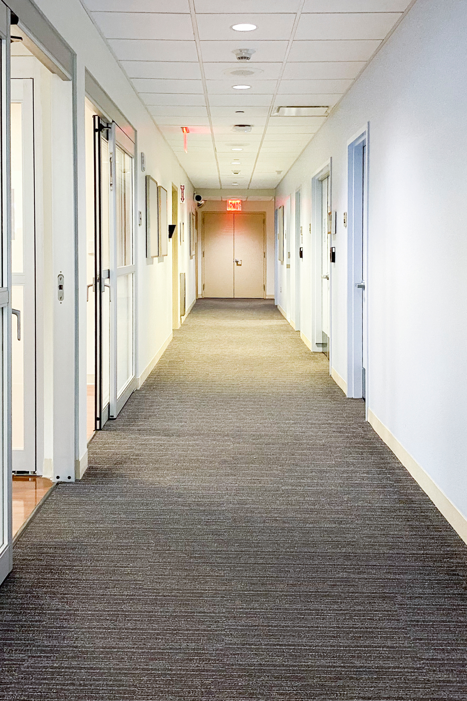 Wooden-floored modern hallway with stairs, large windows, and a small tree; sunlight streams in.