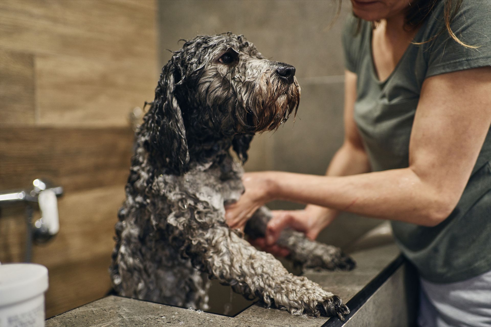 A woman is washing a small dog in a bathroom.