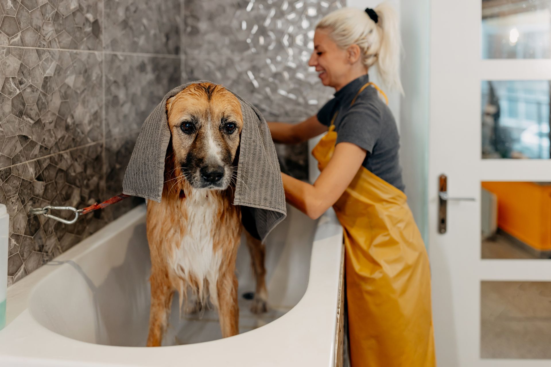 A woman is washing a dog in a bathtub.