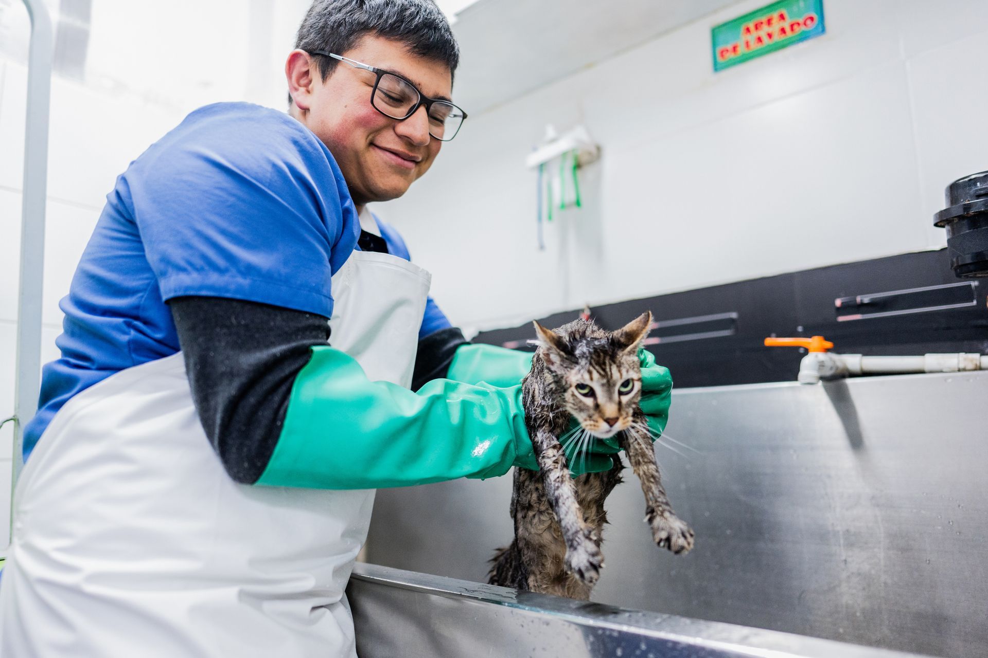A man is washing a kitten in a sink.