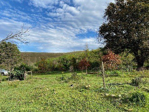 terrain at Greyton Farms' property