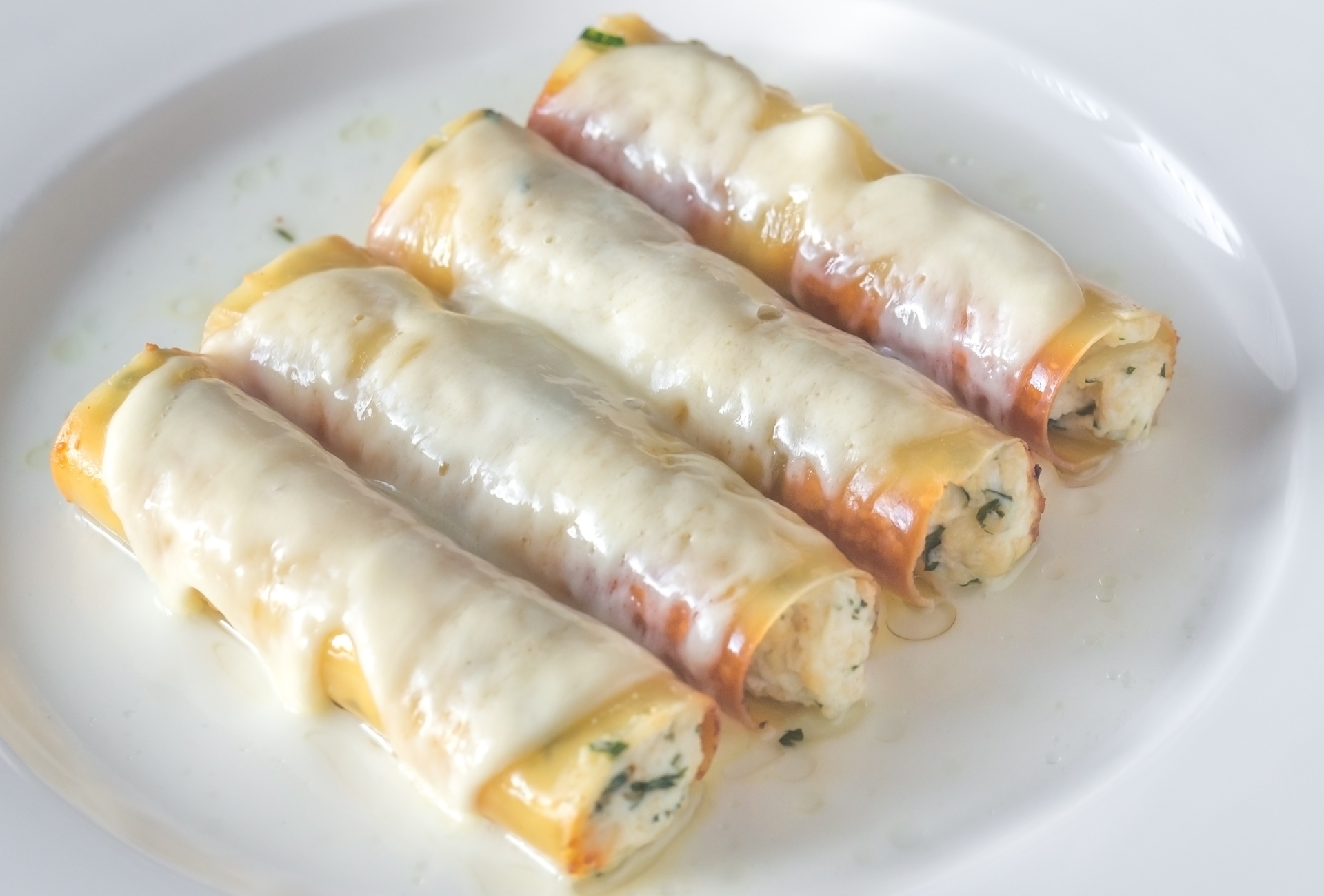 Canelone quatro Queijos ao Molho Bechamel