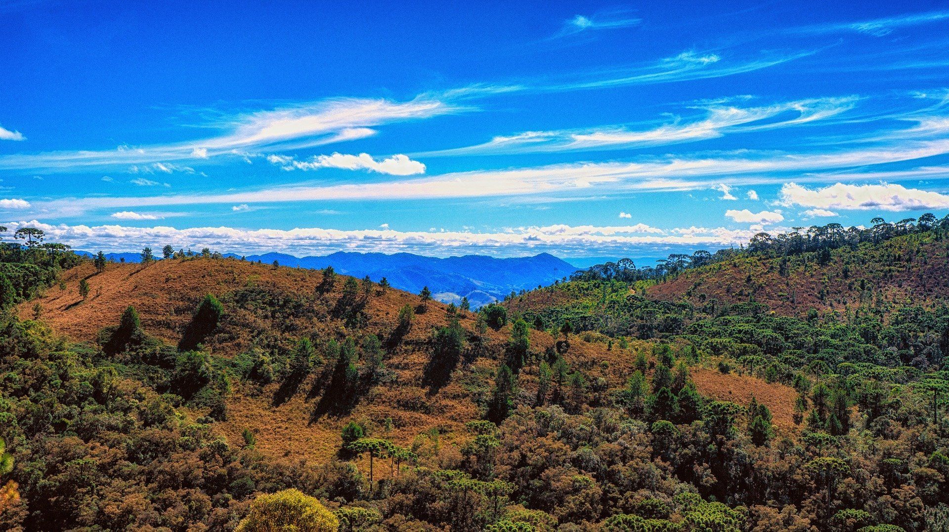 Campos do Jordão
