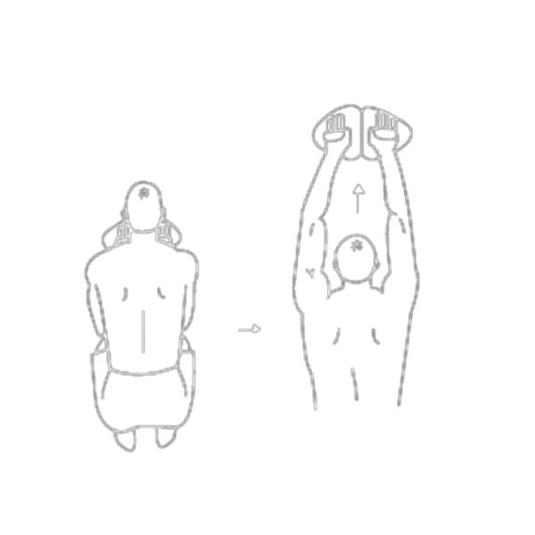 A person seated, lifting a disc-shaped weight overhead with arms extended.