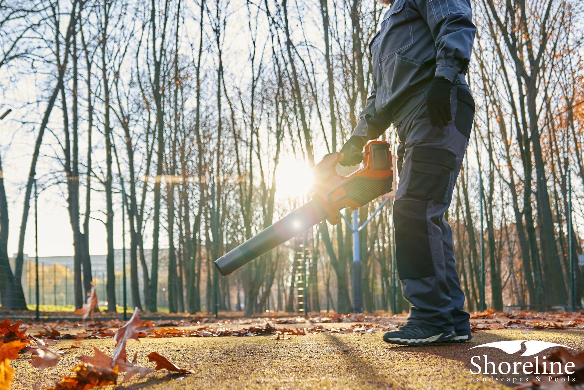 Person using a leaf blower on a path, leaves scattered on ground, trees in background.