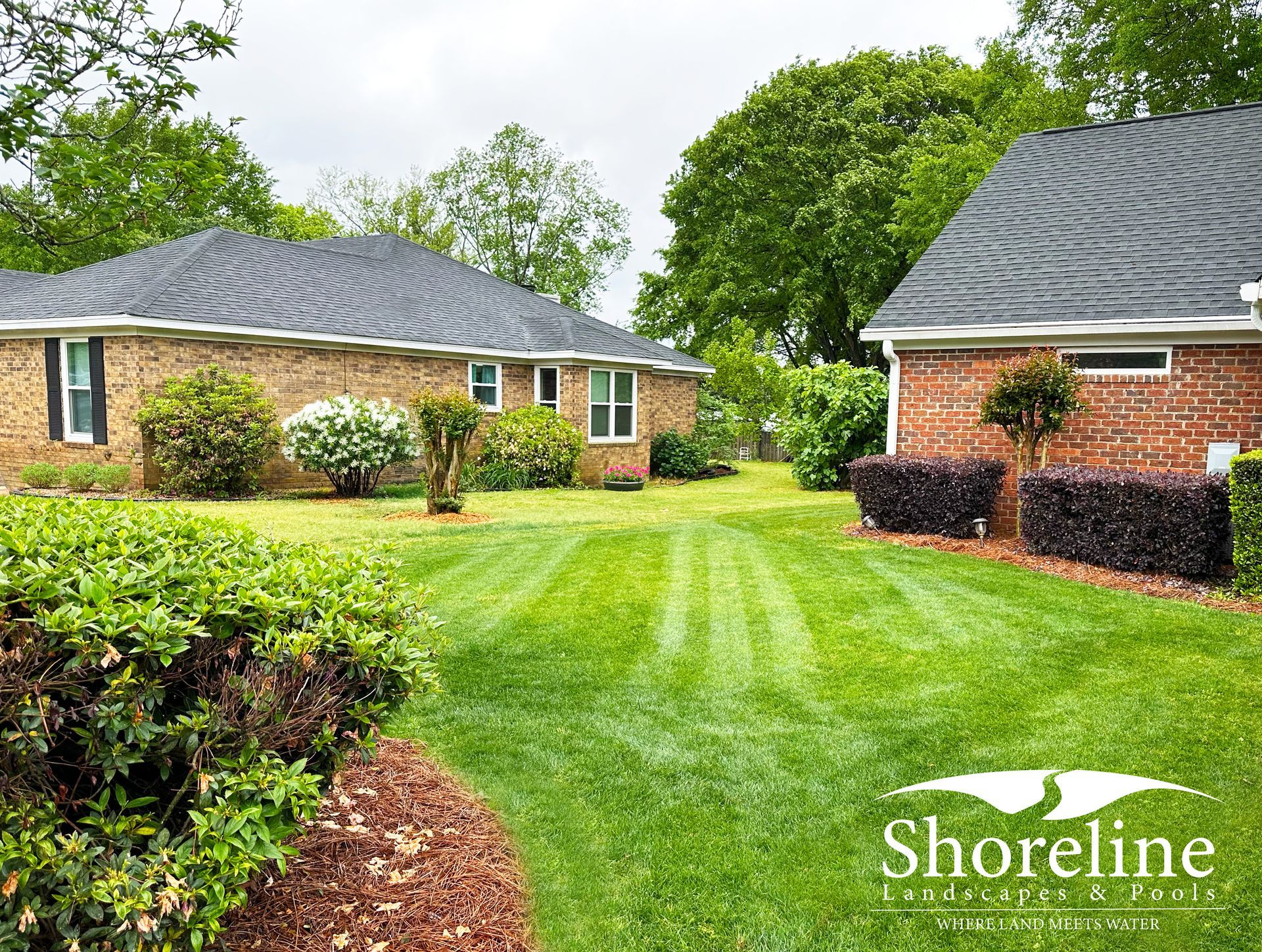 Lawn and two brick houses, green grass, bushes, and trees under an overcast sky.