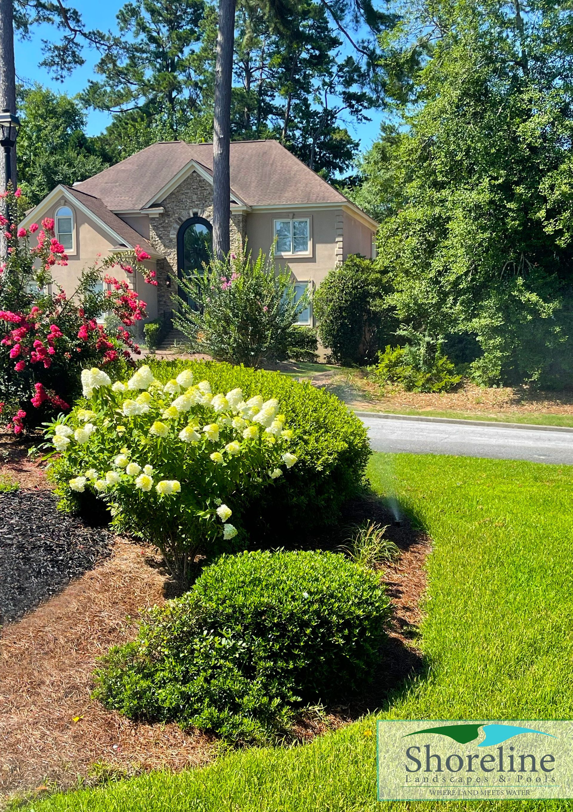 House with brown roof, beige siding, surrounded by greenery and flowering shrubs on a sunny day.
