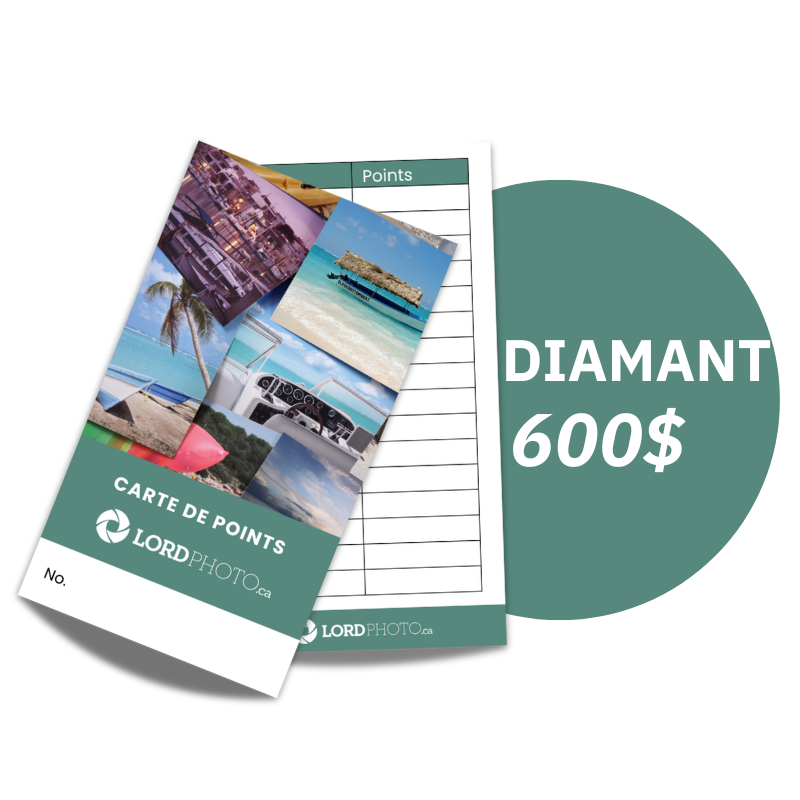 Carte prépayée