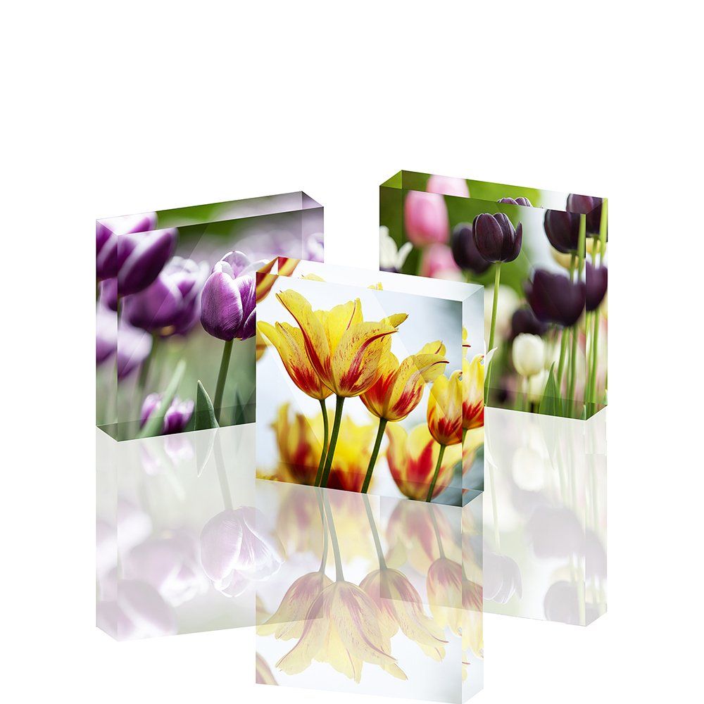 Three acrylic blocks with pictures of flowers on them